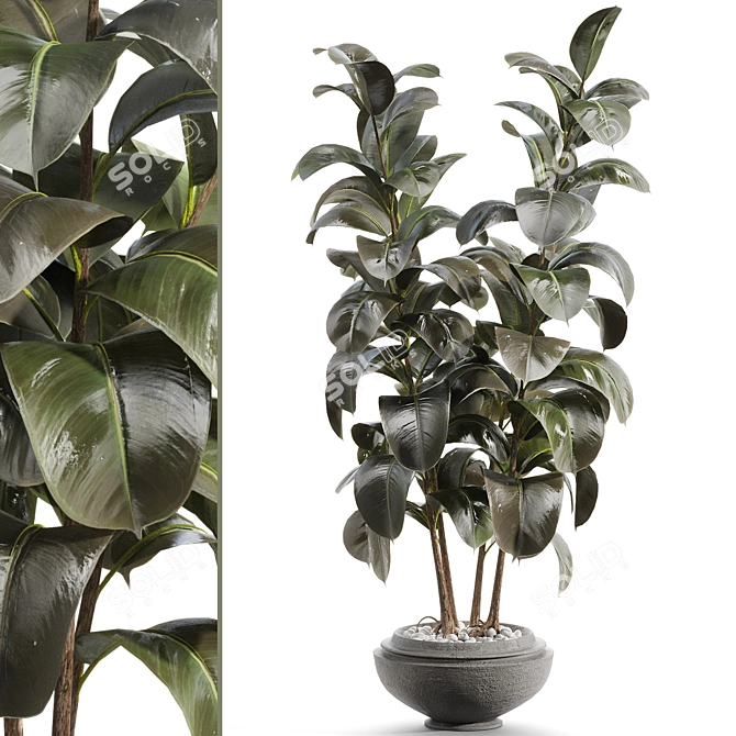 Lush Rubber Tree Miniature 3D model image 1