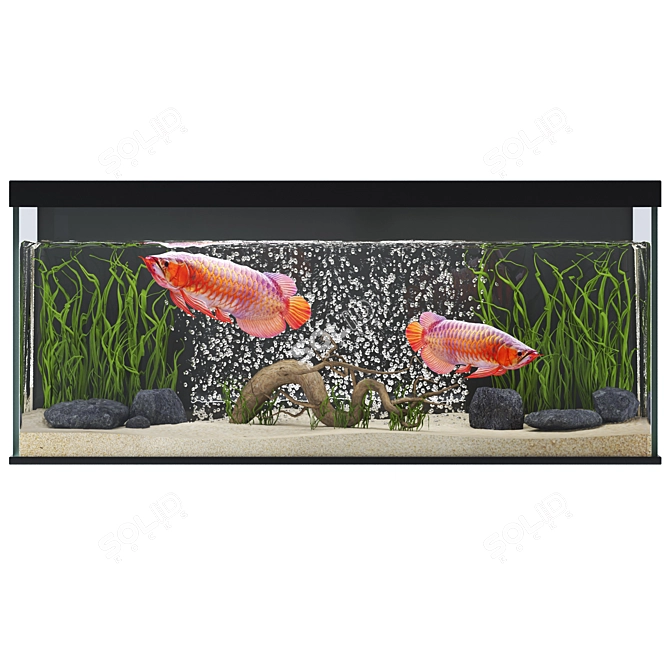 Elegant Arowana 3D Aquarium Decor 3D model image 1