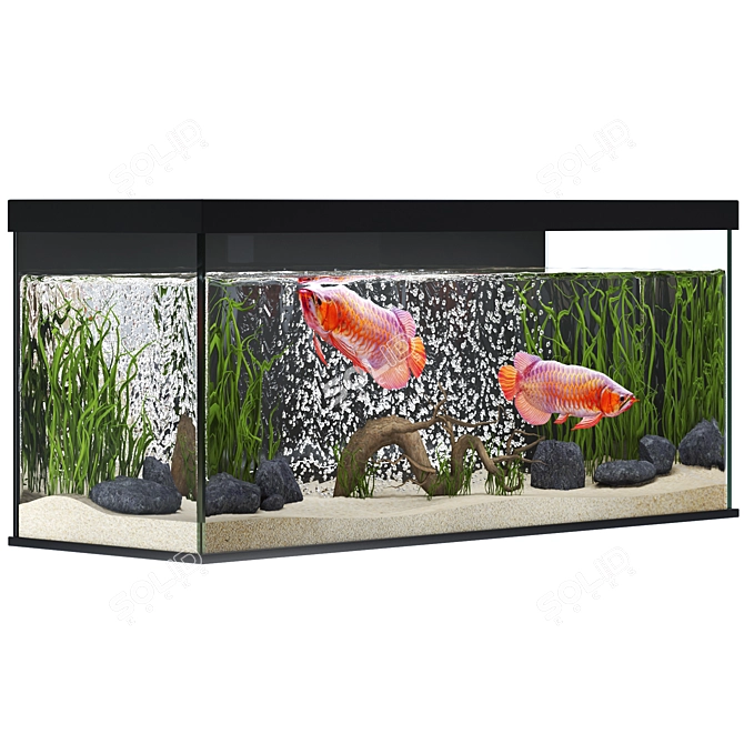 Elegant Arowana 3D Aquarium Decor 3D model image 2