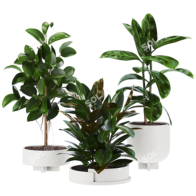 Max 3D Plants Set 107 3D model image 1