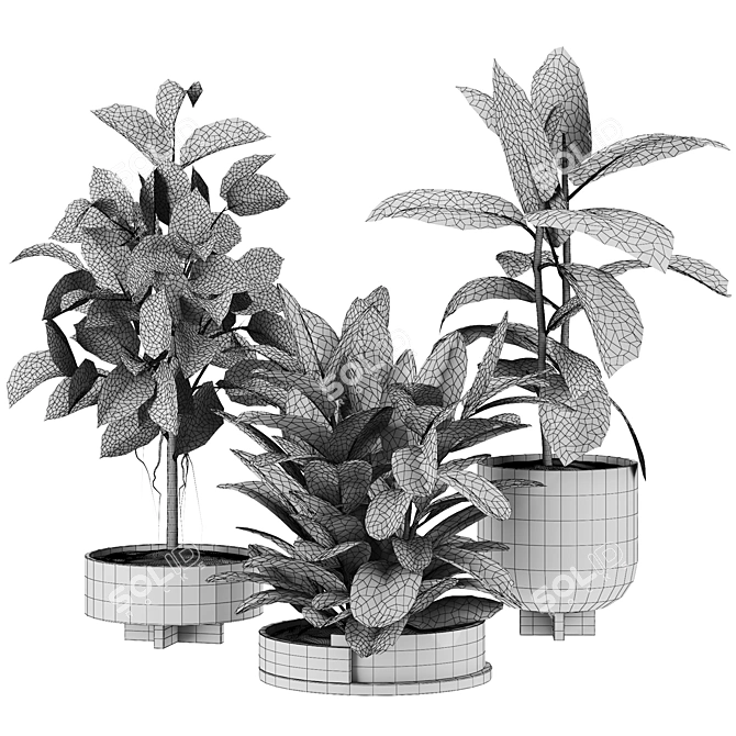 Max 3D Plants Set 107 3D model image 2