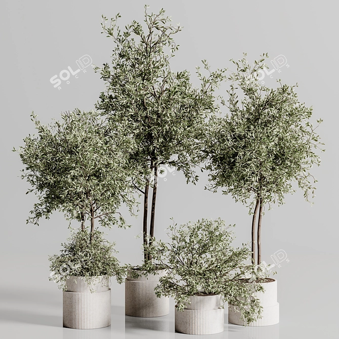 Lush Indoor Plant Set 88 3D model image 3