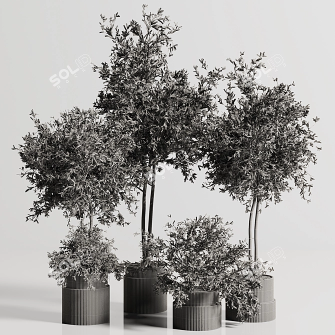 Lush Indoor Plant Set 88 3D model image 8