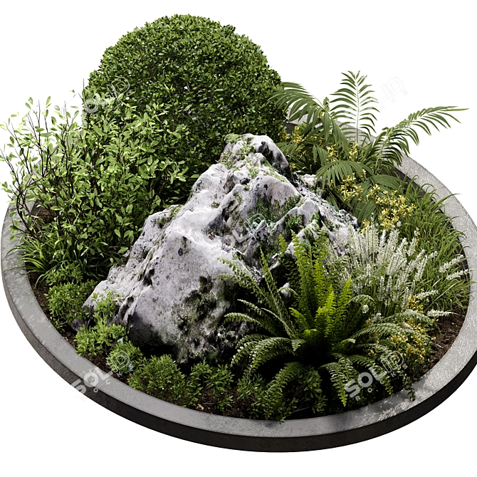 Corona 9 Version Outdoor Plant 3D model image 3