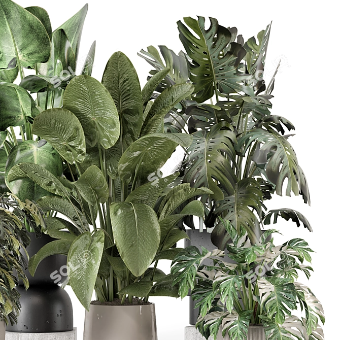 Stylish Indoor Plants Set 2286 3D model image 2