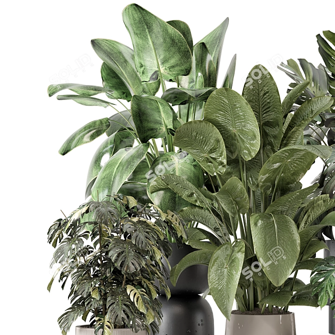 Stylish Indoor Plants Set 2286 3D model image 3