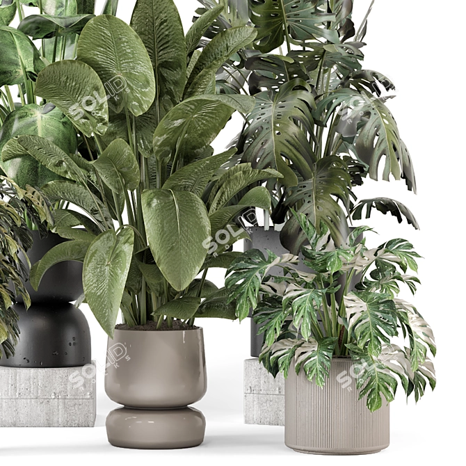 Stylish Indoor Plants Set 2286 3D model image 4