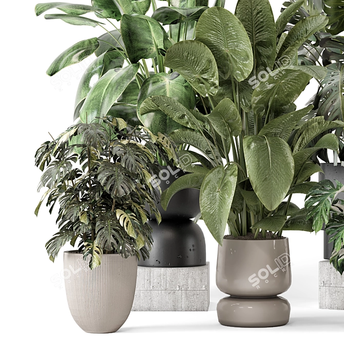 Stylish Indoor Plants Set 2286 3D model image 5