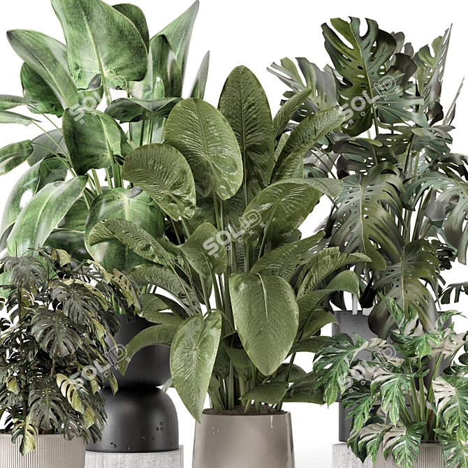 Stylish Indoor Plants Set 2286 3D model image 6