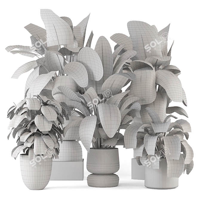 Stylish Indoor Plants Set 2286 3D model image 7