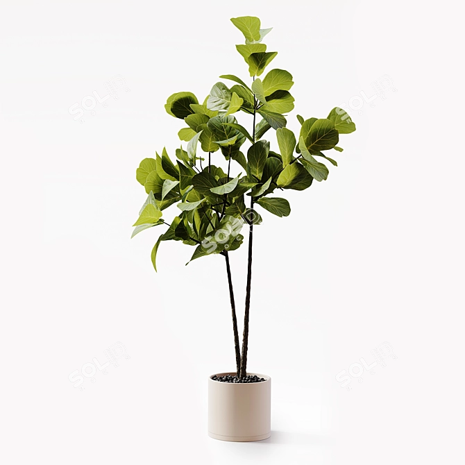 Detailed 3D Indoor Plant Model 3D model image 5