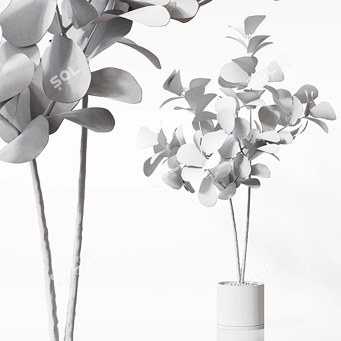 Detailed 3D Indoor Plant Model 3D model image 7