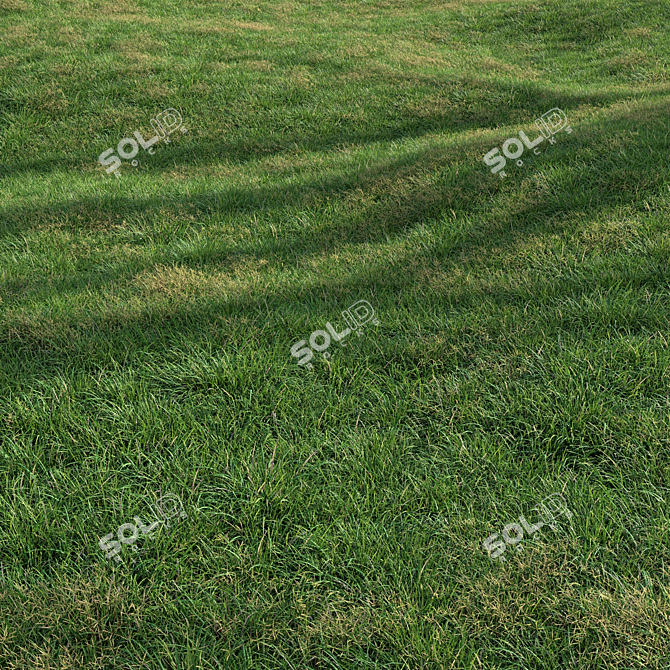 High-Quality Landscaping Tall Grass 3D model image 2