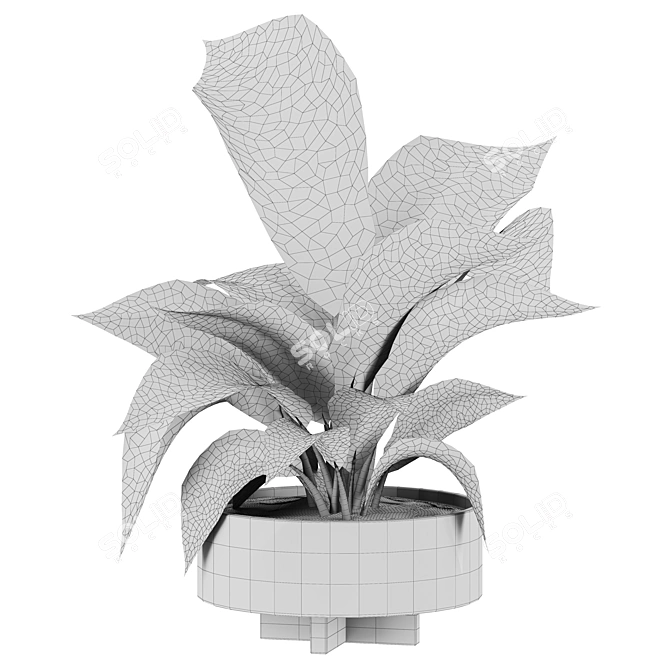 Botanical Collection 3D Models Pack 3D model image 2