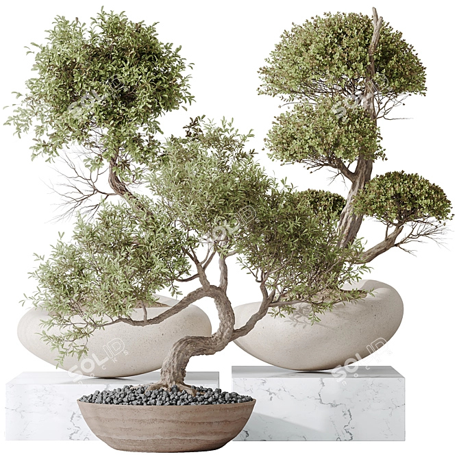 3-in-1 Indoor Plants Set 3D model image 1