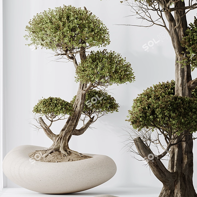 3-in-1 Indoor Plants Set 3D model image 3