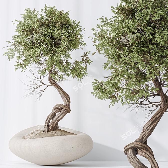 3-in-1 Indoor Plants Set 3D model image 5