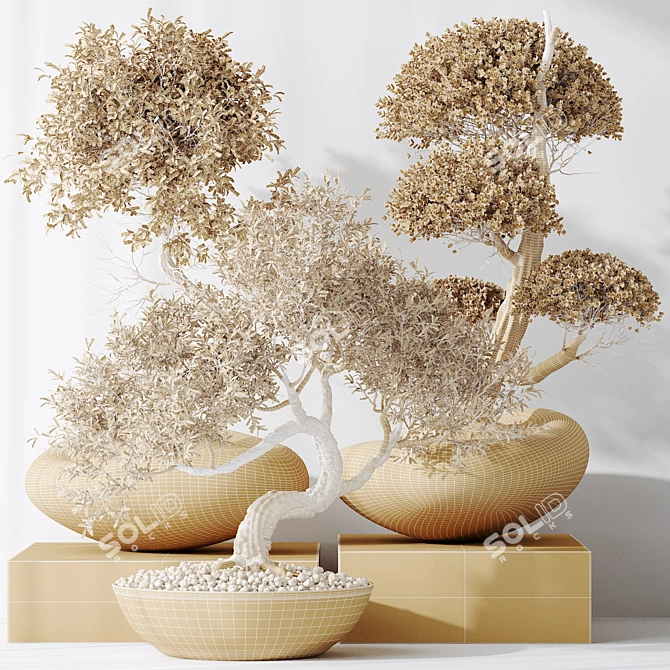 3-in-1 Indoor Plants Set 3D model image 7