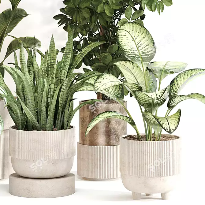 Indoor Oasis Plant Set 0115 3D model image 2