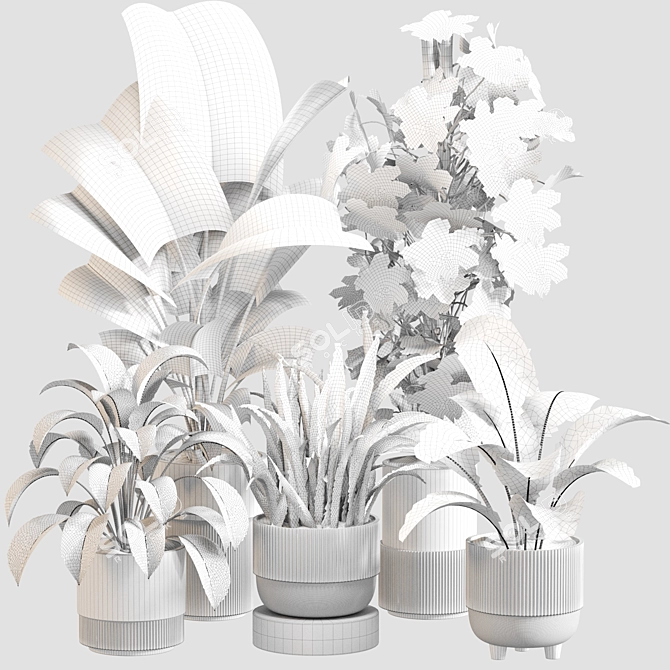 Indoor Oasis Plant Set 0115 3D model image 5
