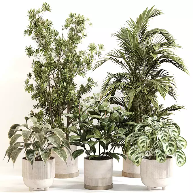 Indoor Oasis Plant Set 0115 3D model image 6