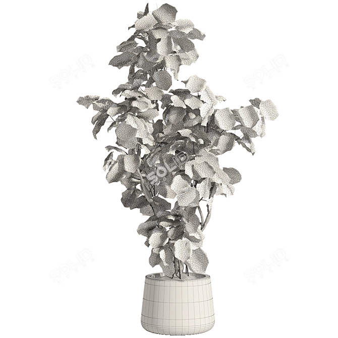 Modern Indoor Plant with Concrete Pot 3D model image 2