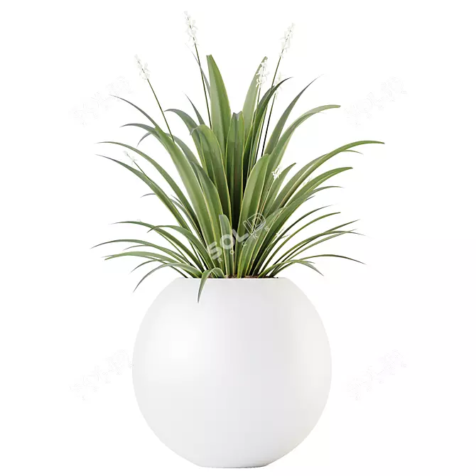 Green Dracaena Cane Houseplant Deco 3D model image 1