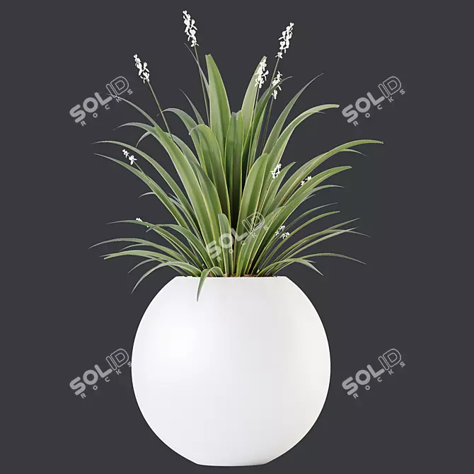 Green Dracaena Cane Houseplant Deco 3D model image 2