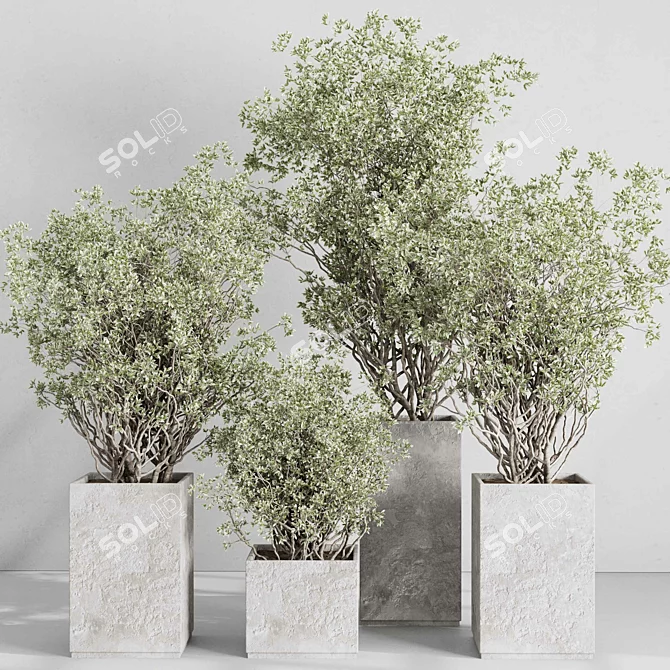 Concrete Box Plants Stand Set 3D model image 1