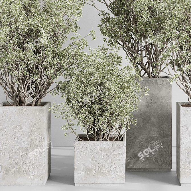 Concrete Box Plants Stand Set 3D model image 3