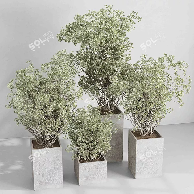 Concrete Box Plants Stand Set 3D model image 6