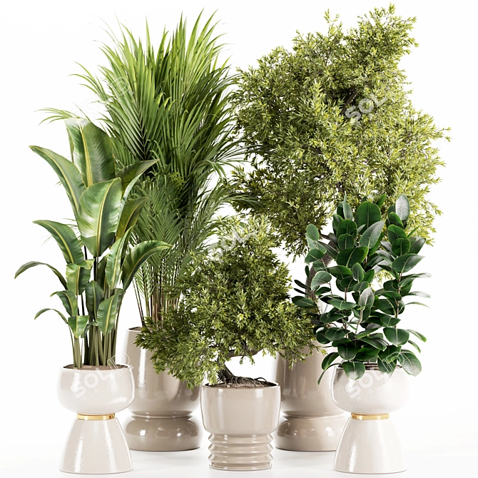 Premium Indoor Plants Set 107 3D model image 1