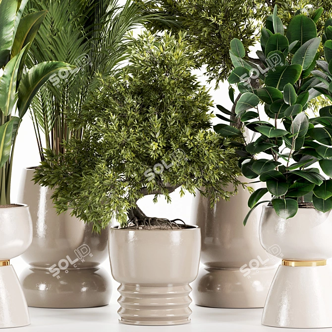 Premium Indoor Plants Set 107 3D model image 3