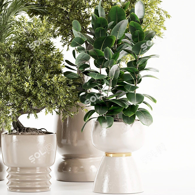 Premium Indoor Plants Set 107 3D model image 5