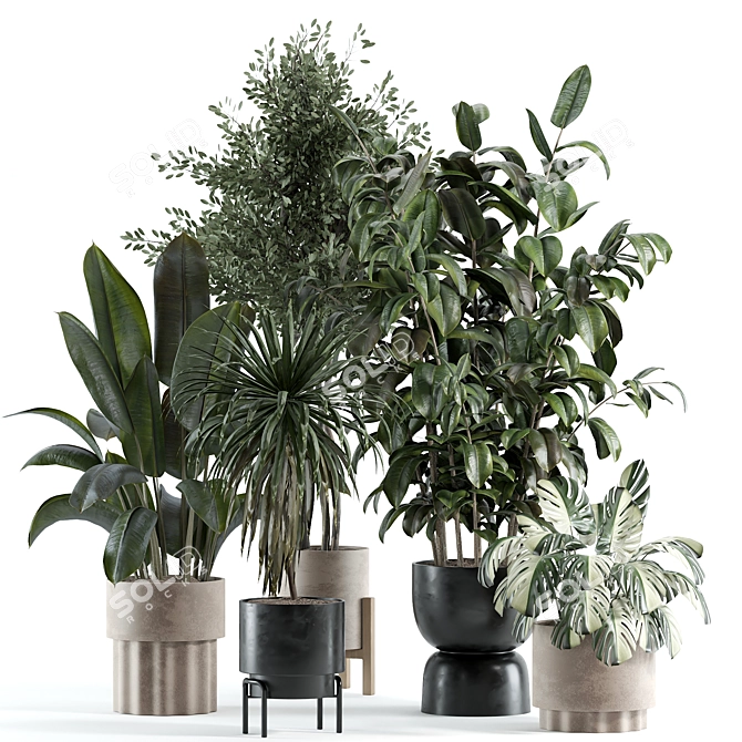 Elegant Model Indoor Plant 225 3D model image 1