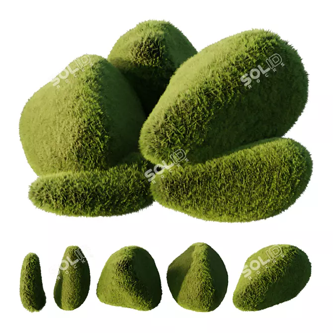 Variety Topiary Plant Models 3D model image 1