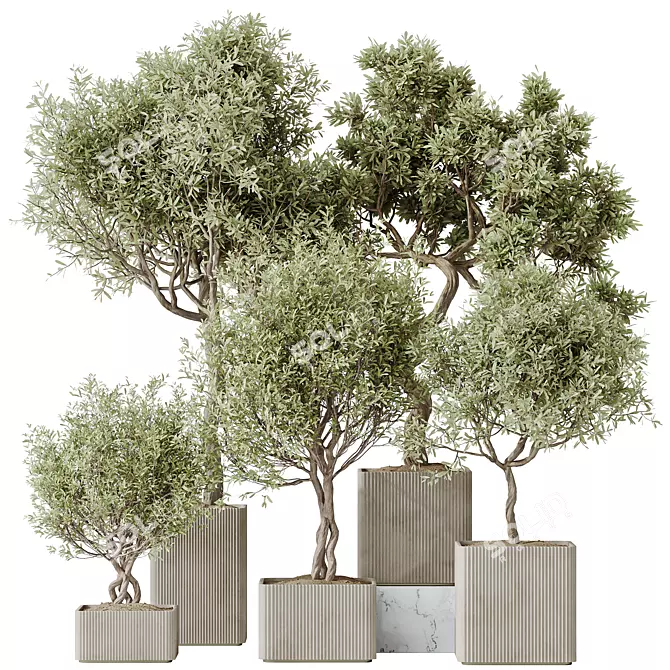 Exquisite Indoor Plant Set 95 3D model image 1