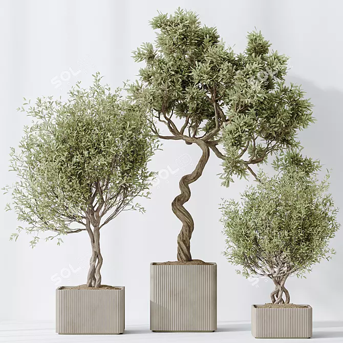 Exquisite Indoor Plant Set 95 3D model image 3