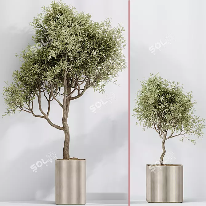 Exquisite Indoor Plant Set 95 3D model image 4