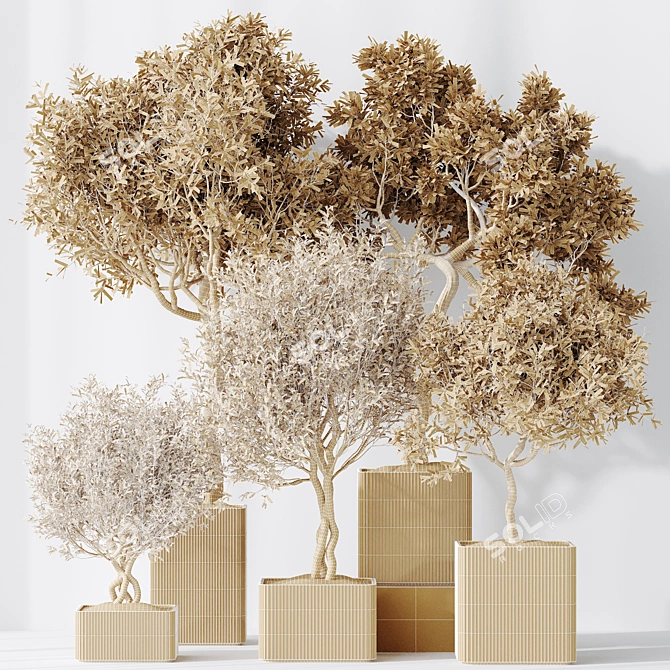 Exquisite Indoor Plant Set 95 3D model image 5