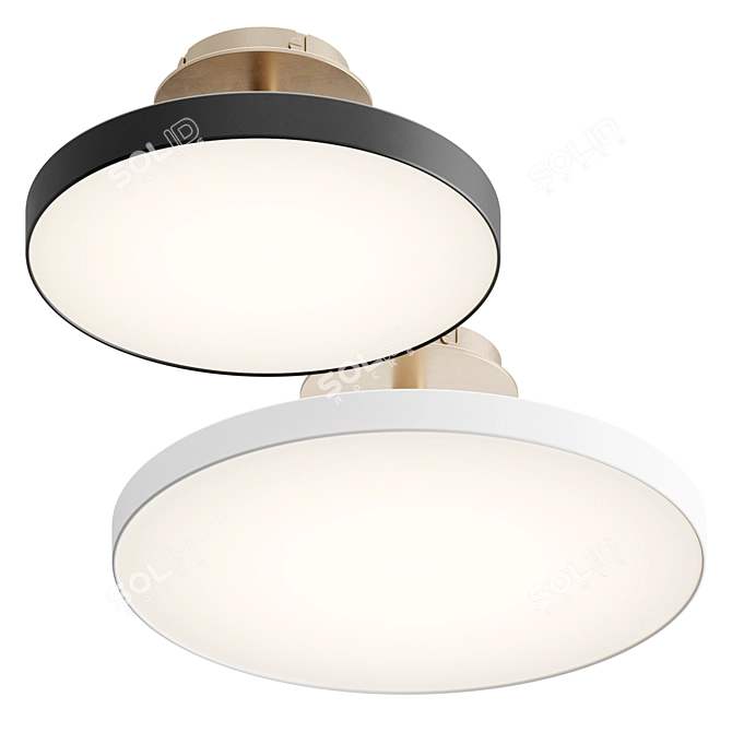 Asteria Up Ceiling Light Fixture 3D model image 1