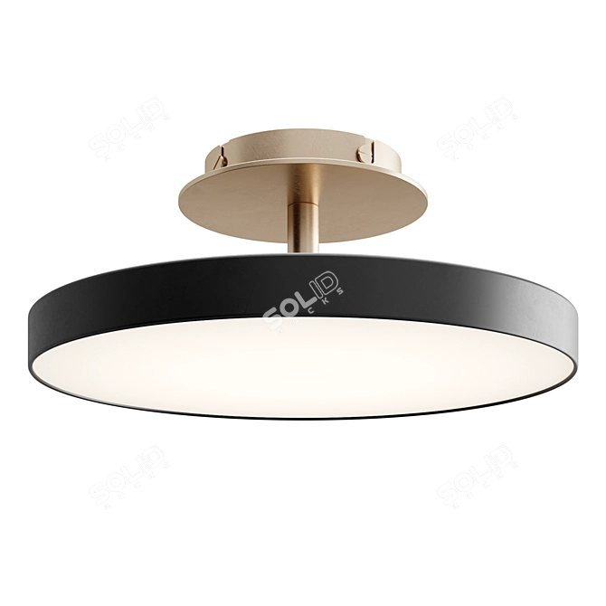 Asteria Up Ceiling Light Fixture 3D model image 3