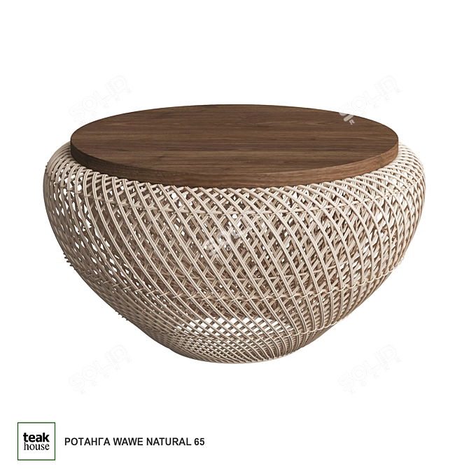 Eco Chic Coffee Table 3D model image 1