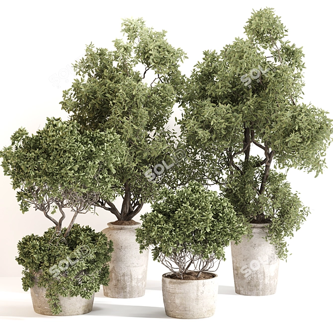 Serene Outdoor Plant Set 012 3D model image 5