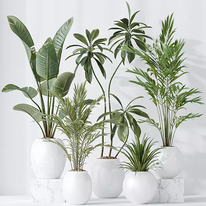 Premium Indoor Plant Set Collection 3D model image 2