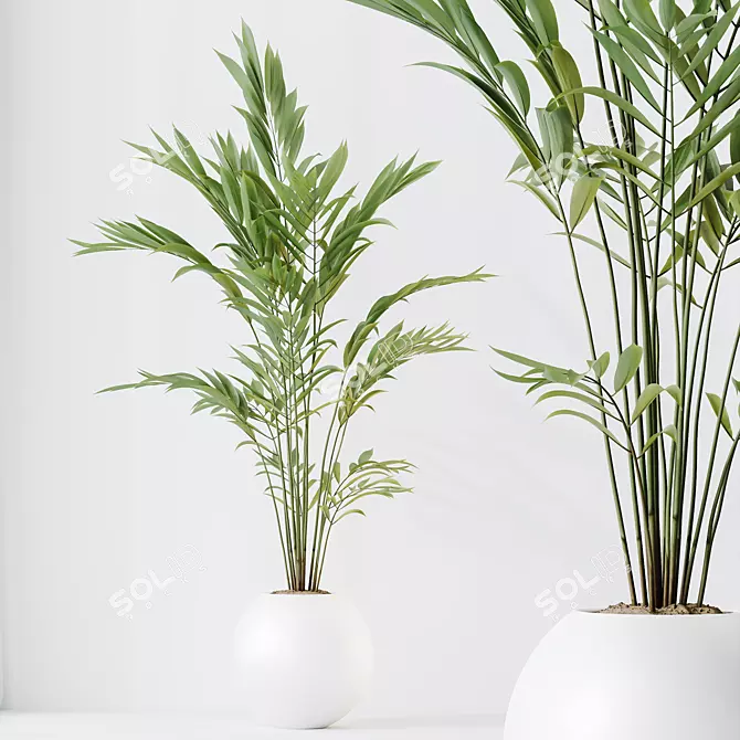 Premium Indoor Plant Set Collection 3D model image 4