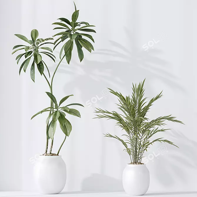 Premium Indoor Plant Set Collection 3D model image 5