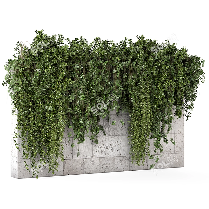 Concrete Wall Hanging Plants Set 3D model image 3