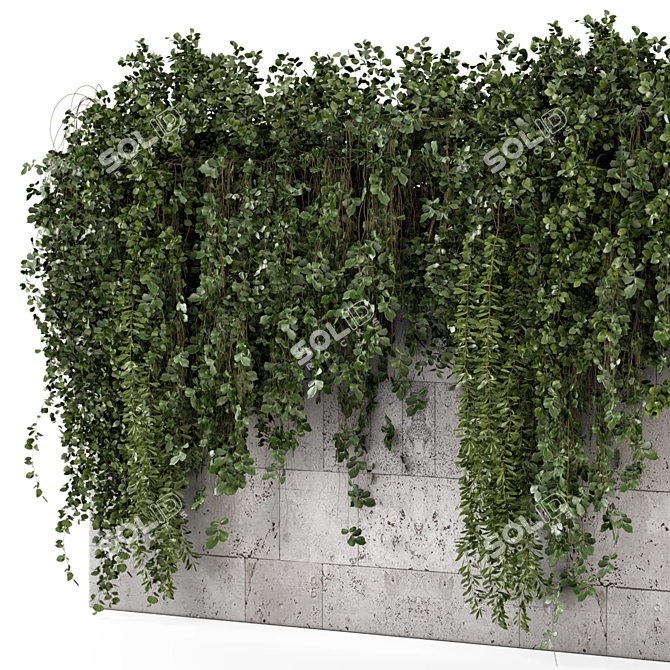 Concrete Wall Hanging Plants Set 3D model image 4