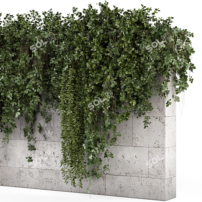 Concrete Wall Hanging Plants Set 3D model image 5